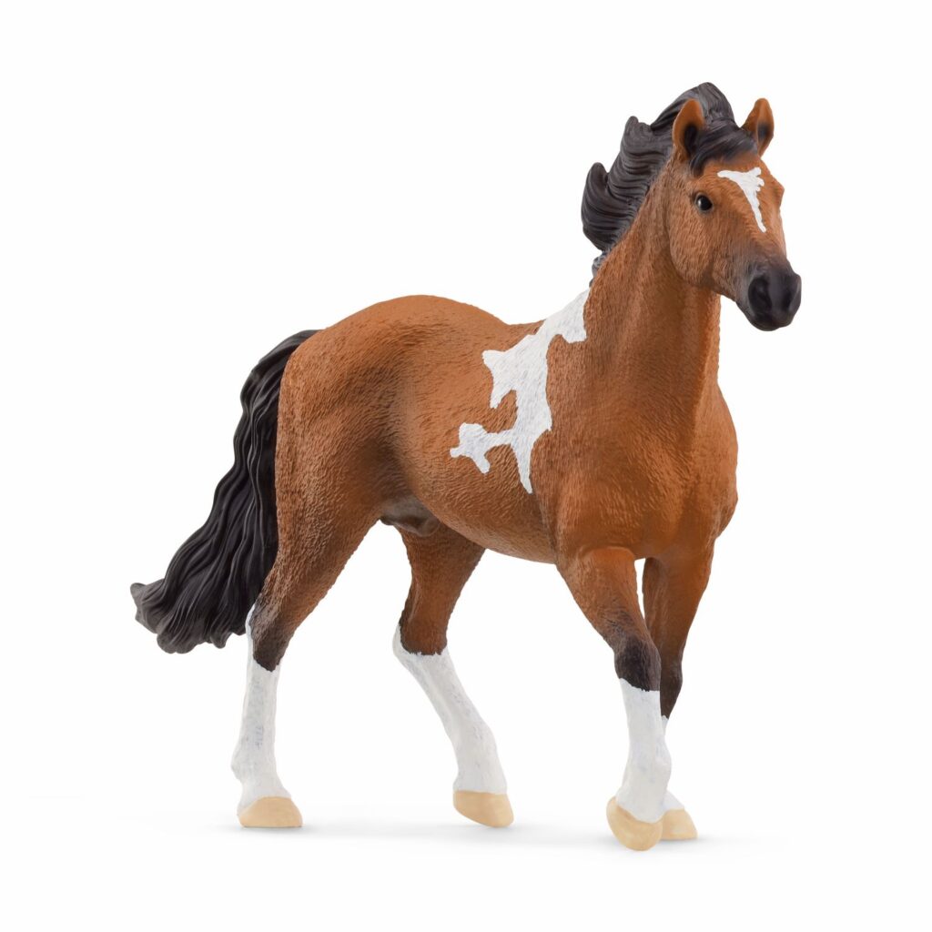 Image of Mangalarga Marchador Stallion
