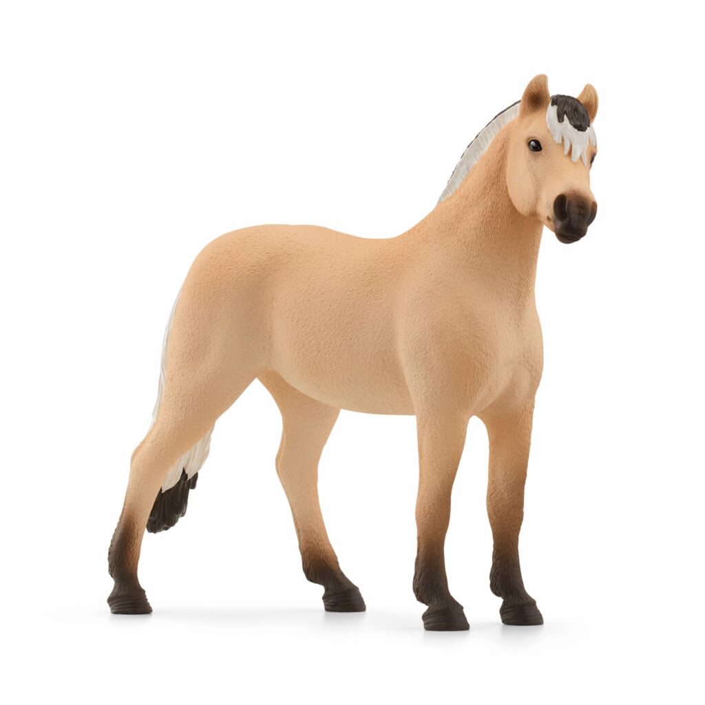 Image of Norwegian Fjord Horse Gelding