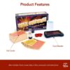 Outburst Bible Edition Game - Image 3