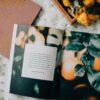 The Fruit of the Spirit Bible Study - Image 3