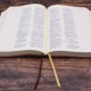Amplified Journal the Word Bible, Leathersoft, Brown - Image 2