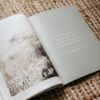Never Alone Bible Study - Image 2