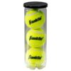 Tennis Balls - 3 Pack - Image 2