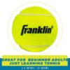 Tennis Balls - 3 Pack - Image 3