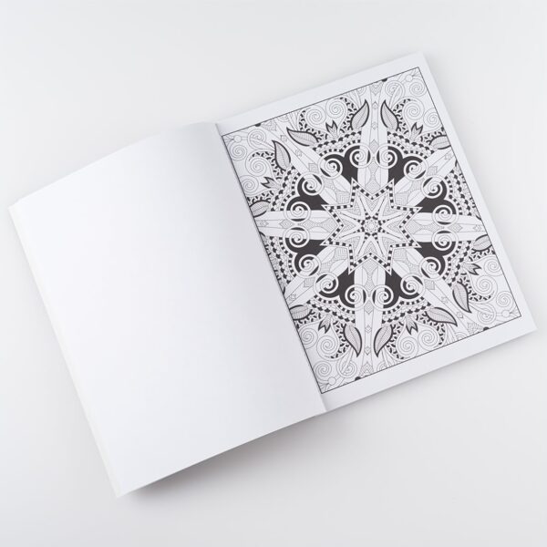 Colouring Book:Today is Going to be a Great Day Adult Coloring Book - Image 6