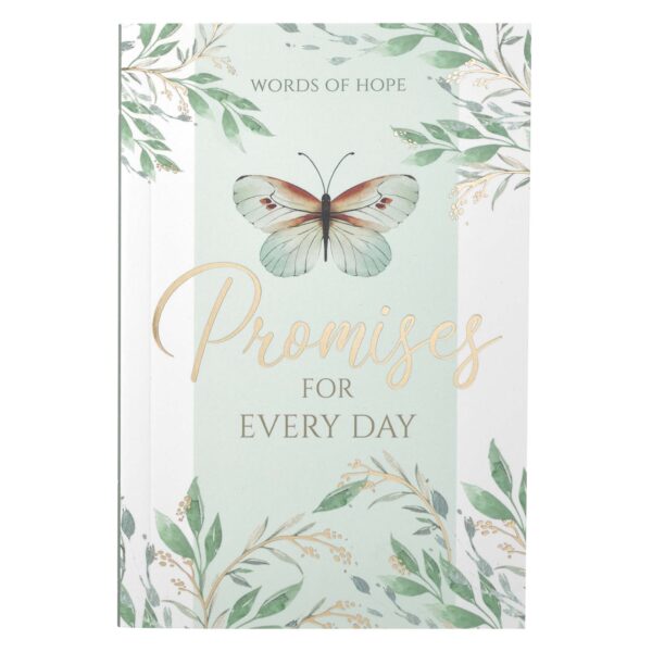 Gift Book Promises for Every Day Softcover 126 2992 0