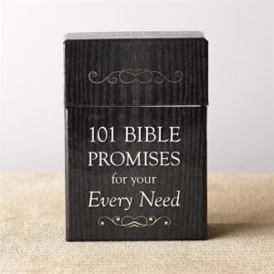 Image of Box of Blessings 101 Bible Promises for Your Every Need