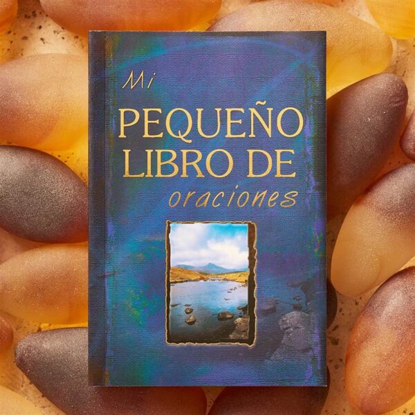 Mi pequeno libro de oraciones 180 1116 4