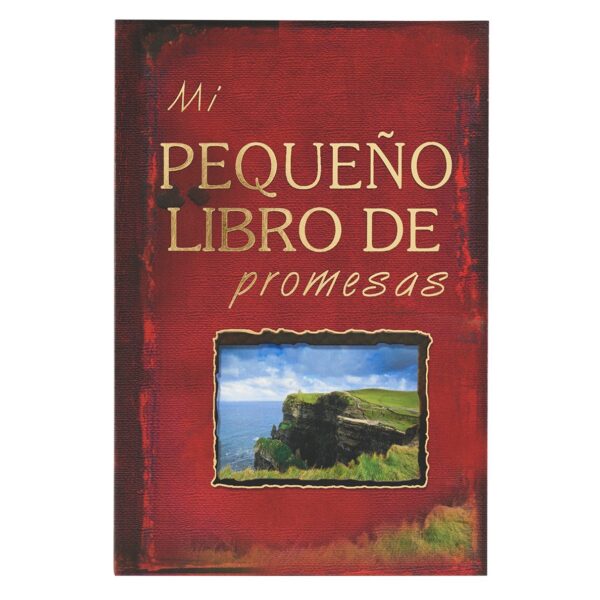 Mi pequeno libro de promesas 180 1117 0