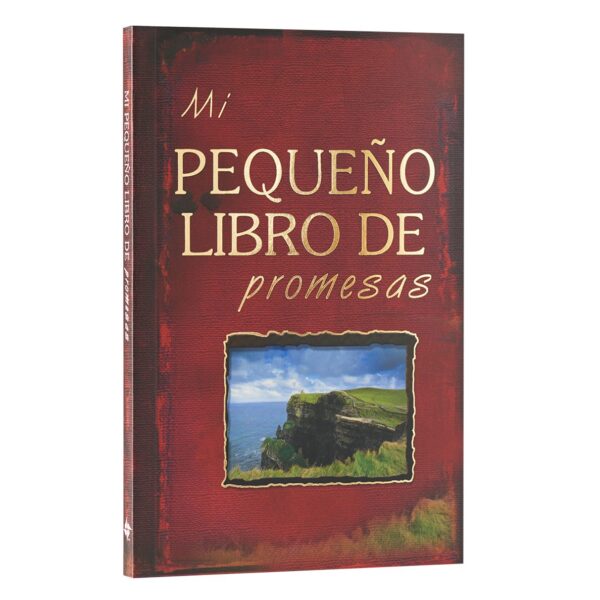 Mi pequeno libro de promesas 180 1117 3