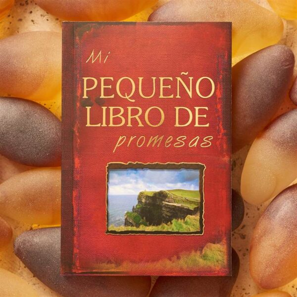 Mi pequeno libro de promesas 180 1117 4