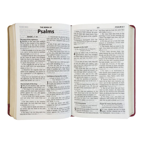 KJV Personal Size Giant Print Reference Bible-Red/Sand