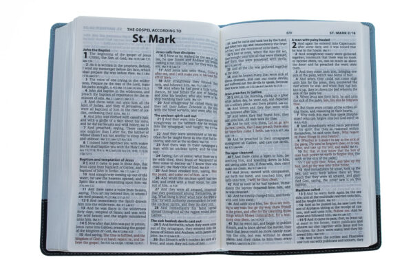 KJV Thinline Reference Bible Chocolate / Blue - Image 3