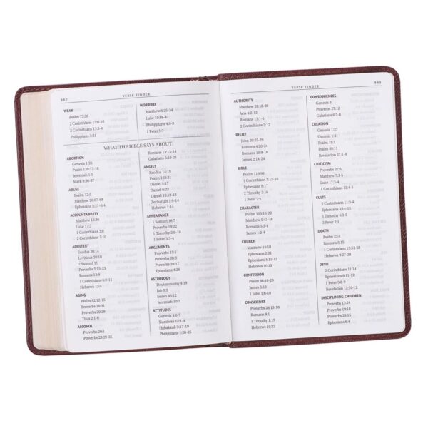 KJV Compact Bible-Brown LuxLeather 206 0456 9