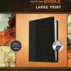 NLT Every Man's Bible, Large Print, Tutone