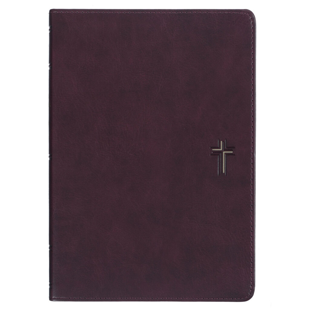 Image of Devotional Bible NLT for Men Faux leather, Dk. Brown