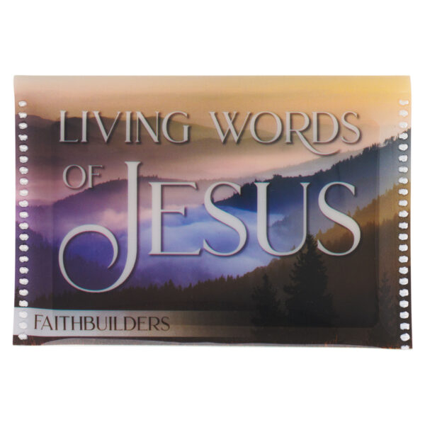 FaithBuilders Merchandiser - Image 6
