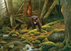 Image of 1000 Pc Puzzle – Mother Nature