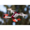 Litehawk Ally HD Camera Drone - Image 2