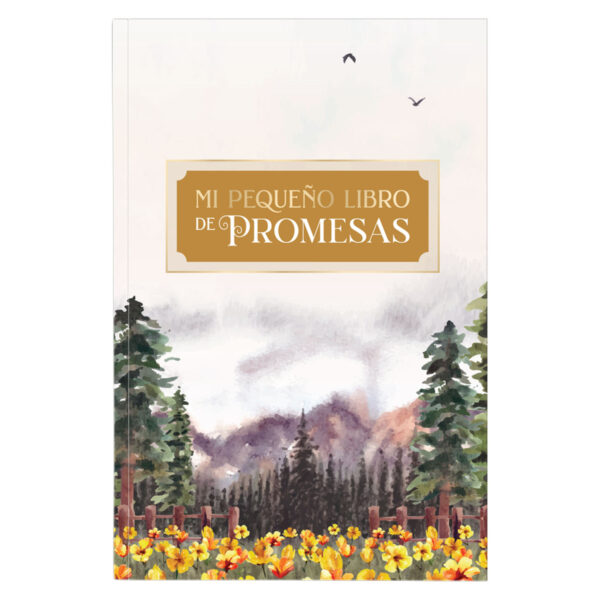 Mi Pequeno Libro De Promesas 180 1119 0