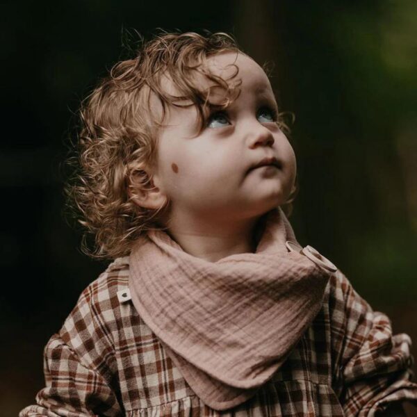 BIBS Bandana Bib Blush 300 1133 1