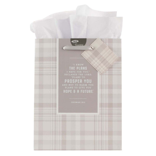 Gift Bag I Know the Plans Gray Plaid Medium - Jeremiah 29:11 622 0353 0