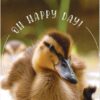 ICare- Adorable Children Birthday Card Package - Image 3