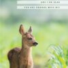 ICare- Adorable Children Birthday Card Package - Image 4