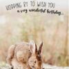 ICare- Adorable Children Birthday Card Package - Image 5