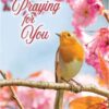 Prayerful Melodies Praying For You - Boxed Greeting Cards - Image 2