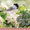 Prayerful Melodies Praying For You - Boxed Greeting Cards - Image 3