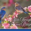 Prayerful Melodies Praying For You - Boxed Greeting Cards - Image 4