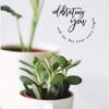 ICare- Delightful Birthday Card Package