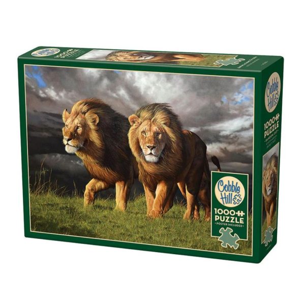 1000 Pc Puzzle - Approaching Storm