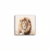 Faith Collection Coaster - Lion & Lamb