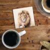 Faith Collection Coaster - Lion & Lamb - Image 2