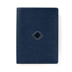 Image of CSB Day-By-Day Chronological Bible, Navy Leathertouch (Day by Day)