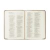 NLT Compact Bible: Marlo Theme - Image 5