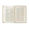 NLT Compact Bible: Marlo Theme - Image 6