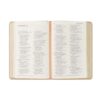 NLT Compact Bible: Sonora Theme - Image 5