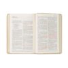 NLT Compact Bible: Sonora Theme - Image 6