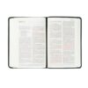 NLT Compact Bible: Jerusalem Theme - Image 6