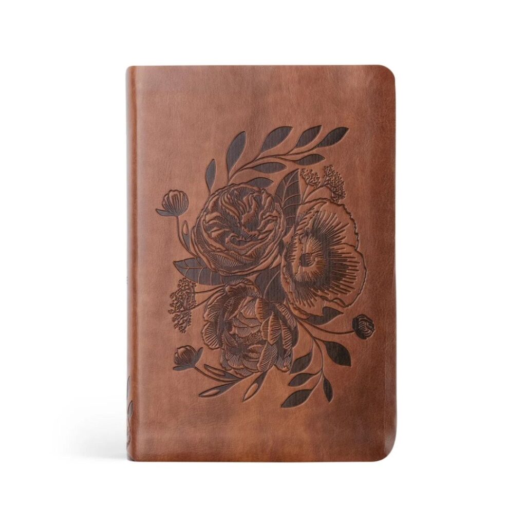 Image of NLT Compact Bible: Aurora Theme
