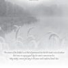 Boxed Sympathy Cards - Peaceful Moments - Image 5
