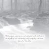 Boxed Sympathy Cards - Peaceful Moments - Image 9