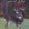 Back to Nature Birthday - Boxed Greeting Cards - Image 2