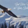 Back to Nature Birthday - Boxed Greeting Cards - Image 3