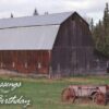 Back to Nature Birthday - Boxed Greeting Cards - Image 4