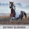 Boxed Birthday Cards - Peaceful Meadows - Image 2