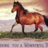 Boxed Birthday Cards - Peaceful Meadows - Image 4